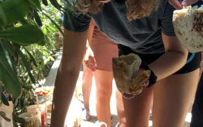 A Nice Afternoon Snack