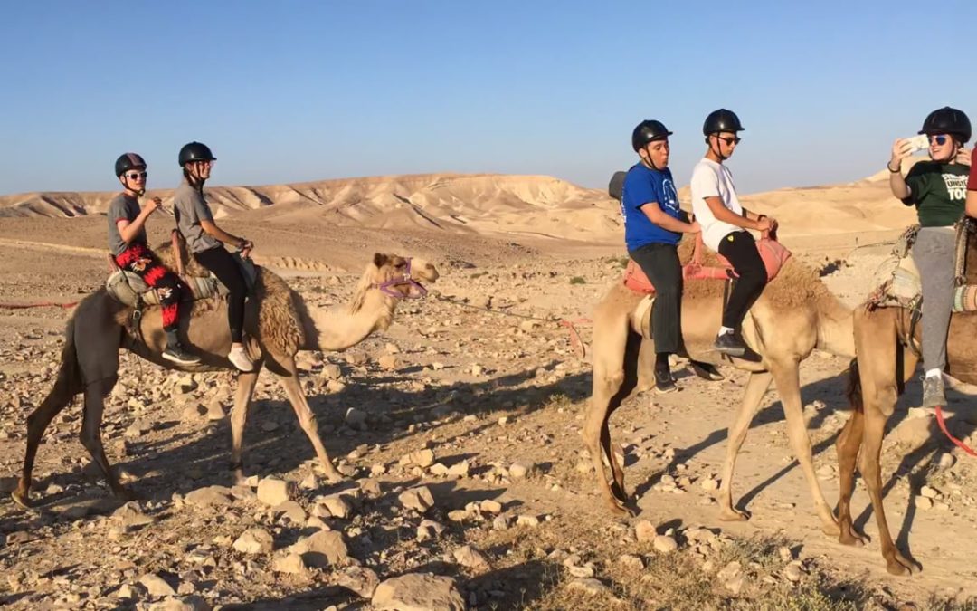 Camel Rides in the Desert!