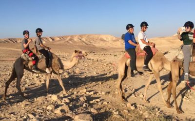 Camel Rides in the Desert!
