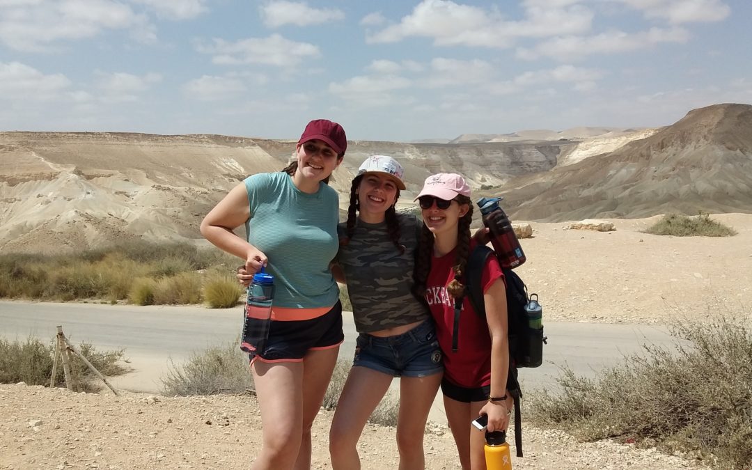 10 Tips To Survive The Negev