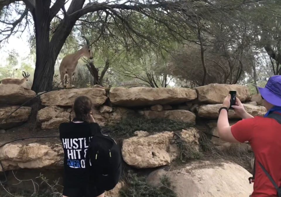 A Weekend in Israel with Bus 3!