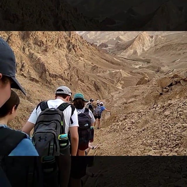 Bus 6 Journeys Through the Desert