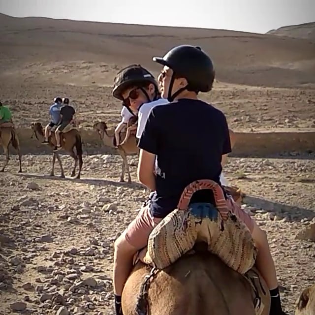 Bus 6’s Adventures in Masada and the Dead Sea