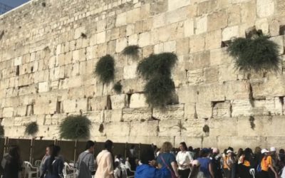 From Jerusalem to Masada