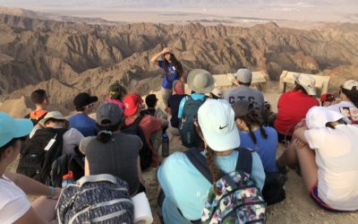 Thoughts Before the Desert