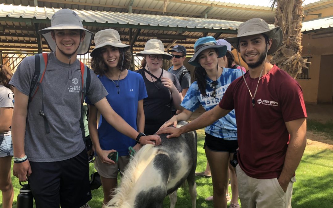 Mitzvah Corps in the Desert