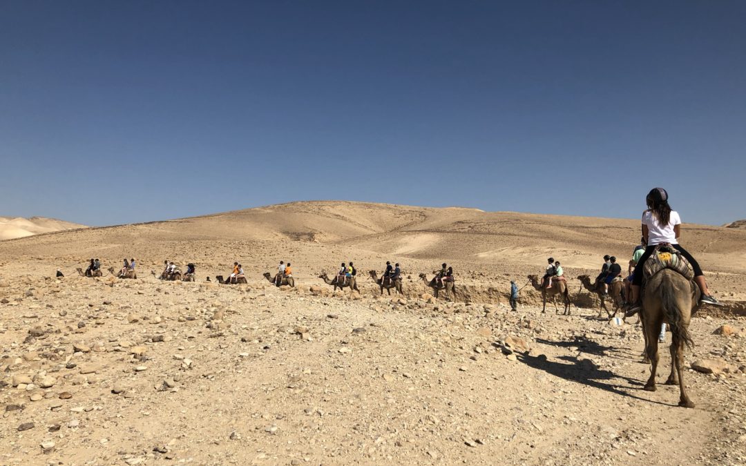 Sci-Tech in the Desert