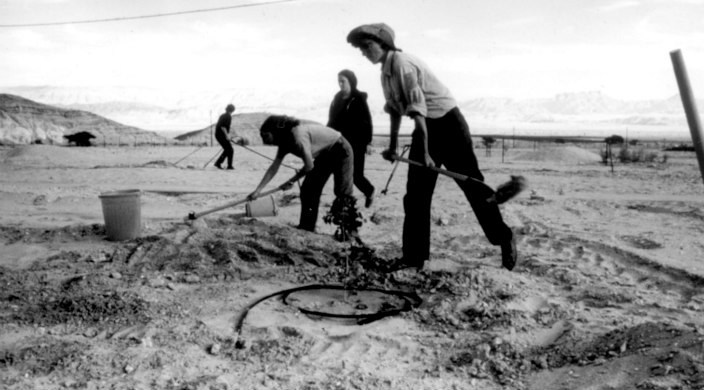 In Every Generation: Four Questions from the Early Days of the Kibbutz