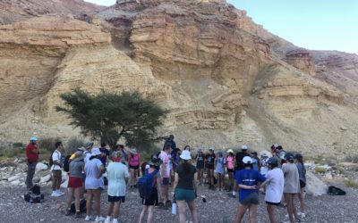 Admiring the Negev with Bus 15
