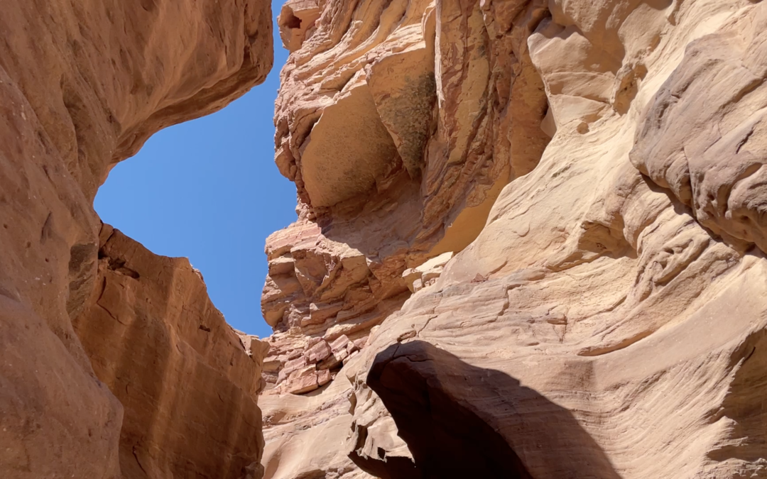 Bus 12 Hikes Through Red Canyon